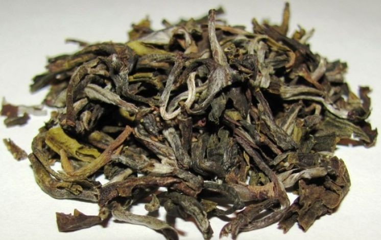Зелёный вьетнамский чай из коллекции чайного мастера Светланы Труфановой.